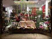 FLORISTERÍA LA CAMELIA 2