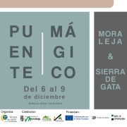 PUENTE M?GICO DEL COMERCIO