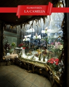 FLORISTER?A LA CAMELIA 1