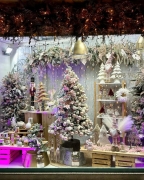 FLORISTER?A MIRIAM 1