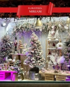 FLORISTER?A MIRIAM 1