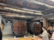 VIAJE A NAVARRRA PROSPECCI?N TUR?STICA A PLAZAOLA ENTE GESTOR GATA HURDES