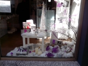 CENTRO DE ESTÉTICA SANDRA