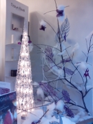 CENTRO DE ESTÉTICA SANDRA