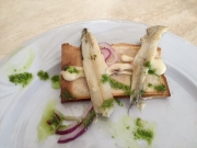 VIII RUTA DE LA TAPA