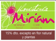 BLACK SATURDAY-SÁBADO, 24 DE NOVIEMBRE